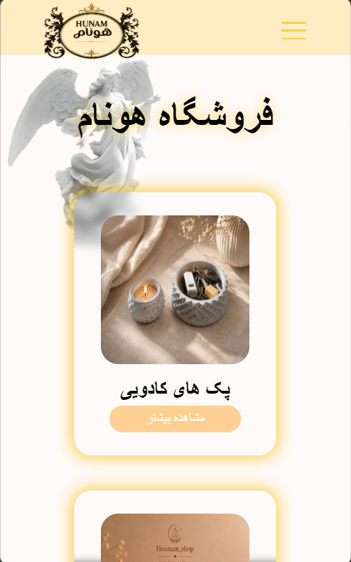 طراحی سایت hoonam-arts برگه فروشگاه | دسته بندی محصولات | پروژه ماهان تک